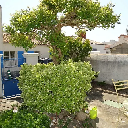 La Grenette Gilles Croix De Vie *